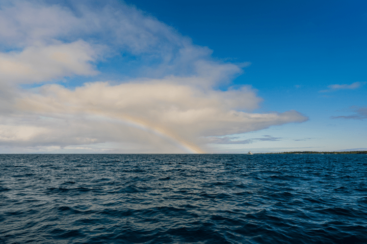 a rainbow over the ocean